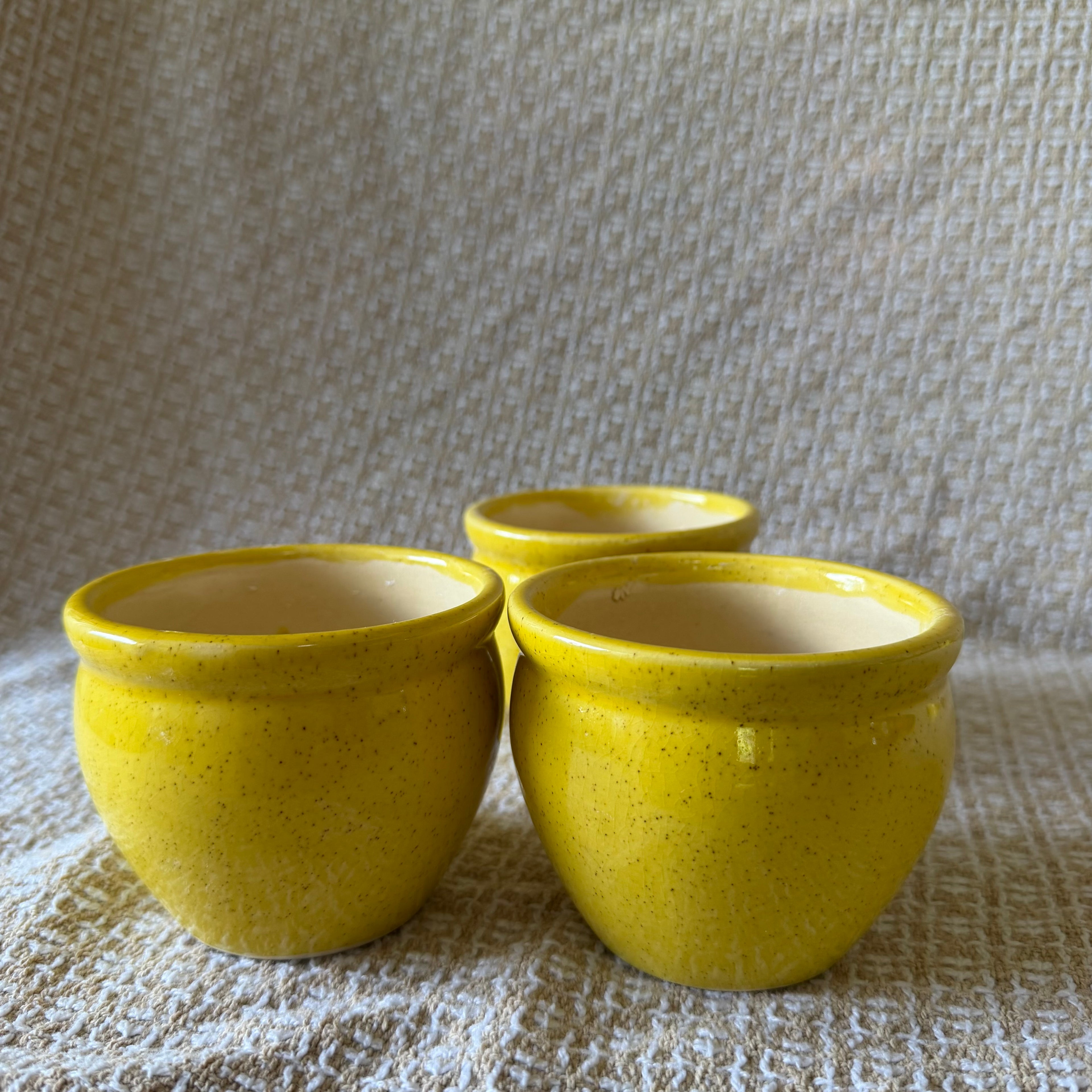 Yellow Honey Pot Pot