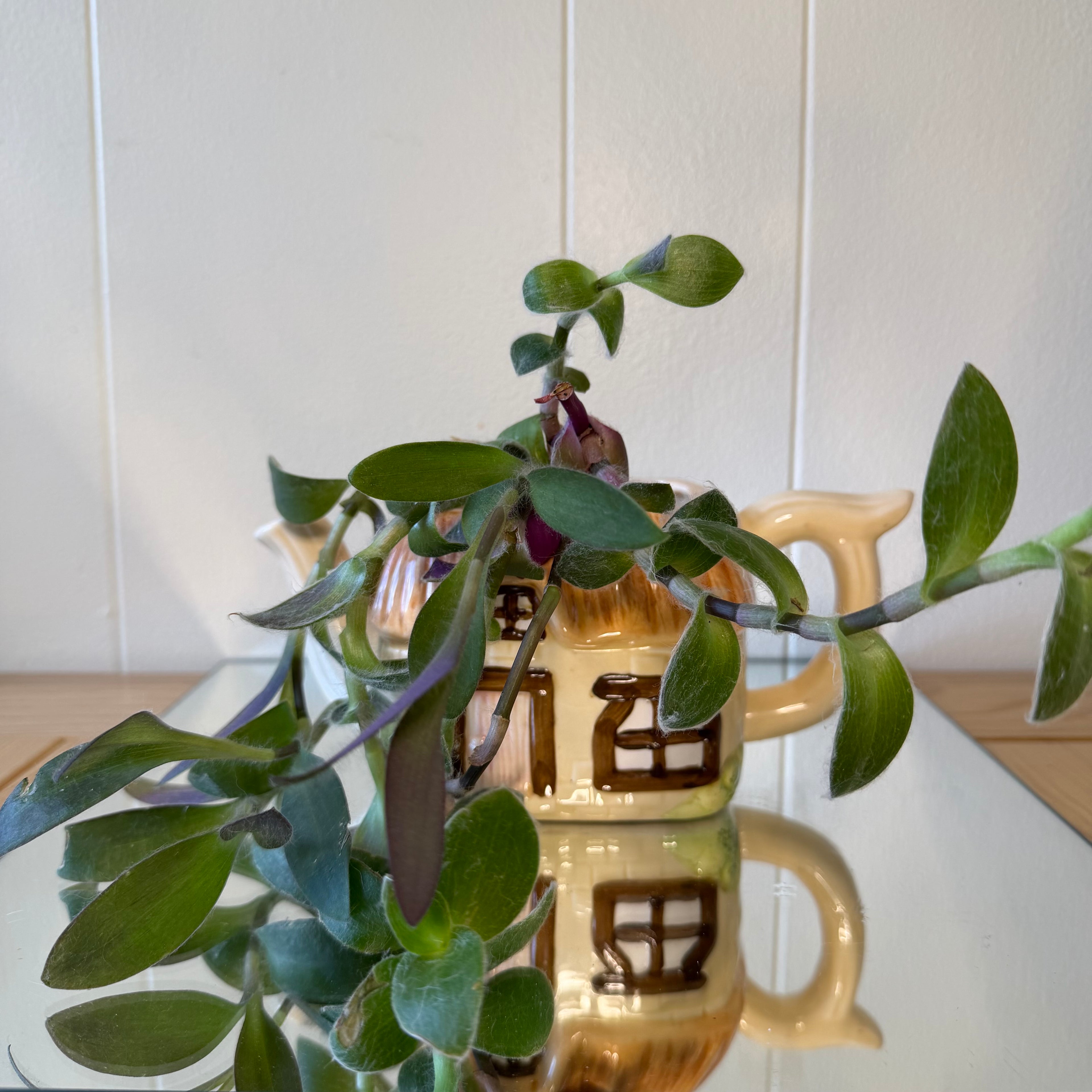 Cottage Teapot Pot