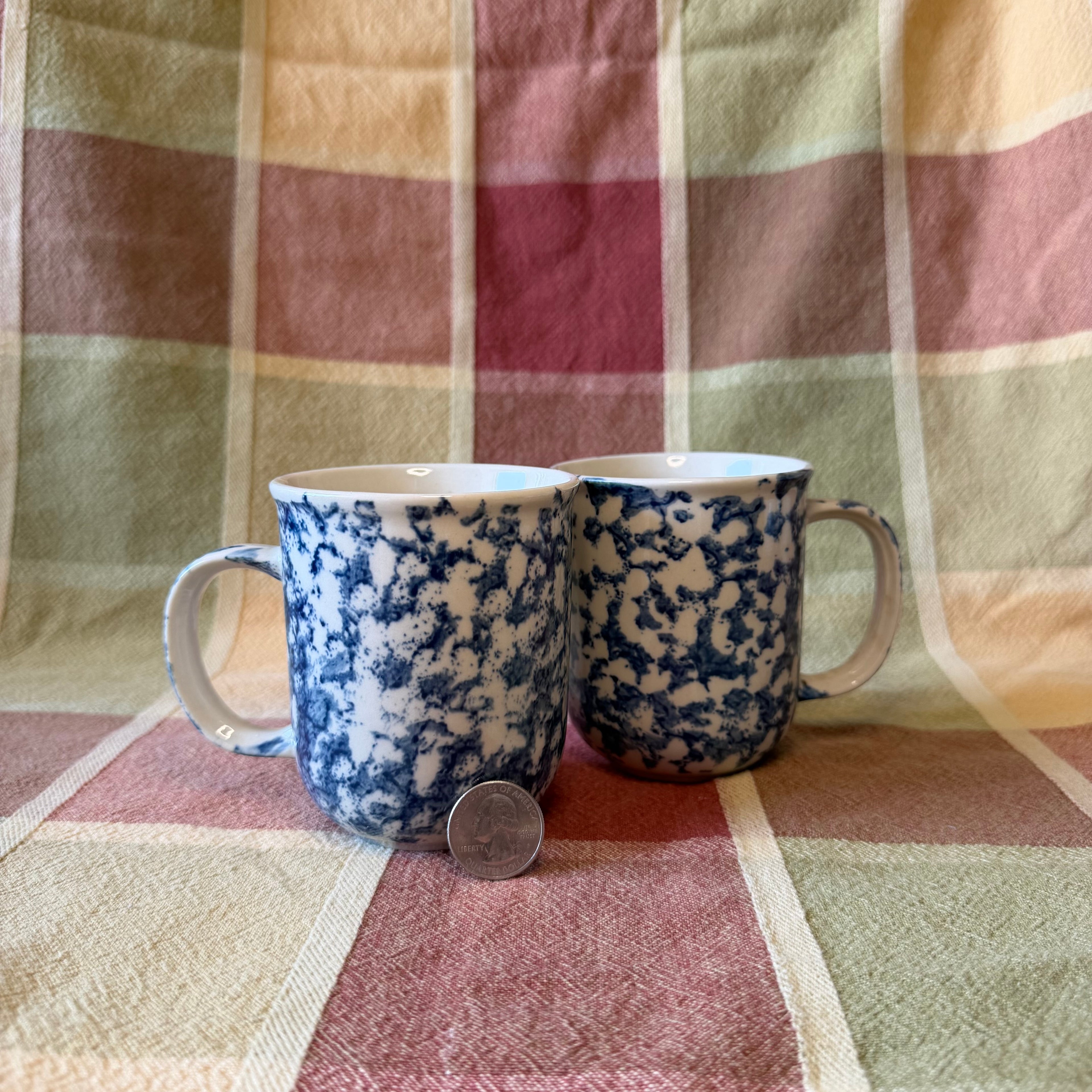 Blue Mug Pot