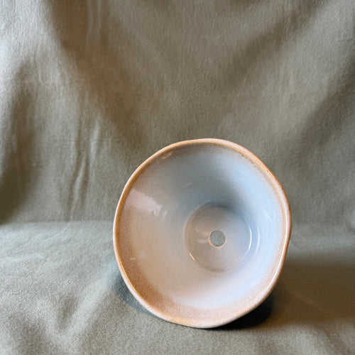 Blue Bowl Pot