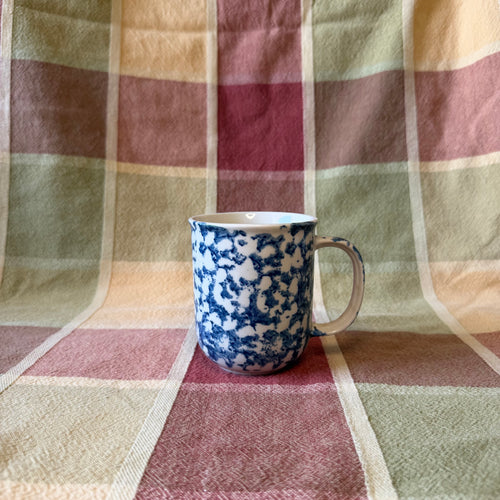 Blue Mug Pot