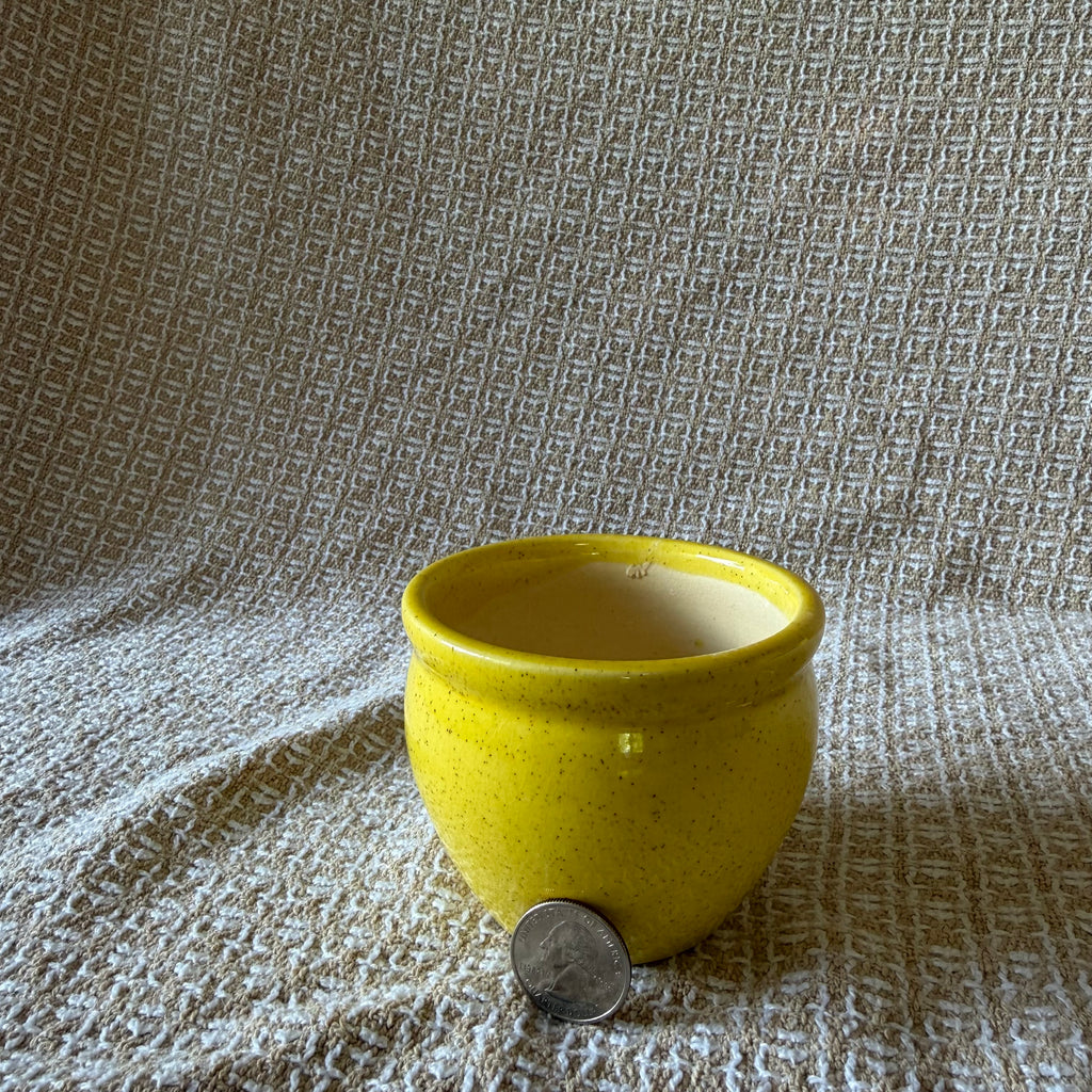 Yellow Honey Pot Pot