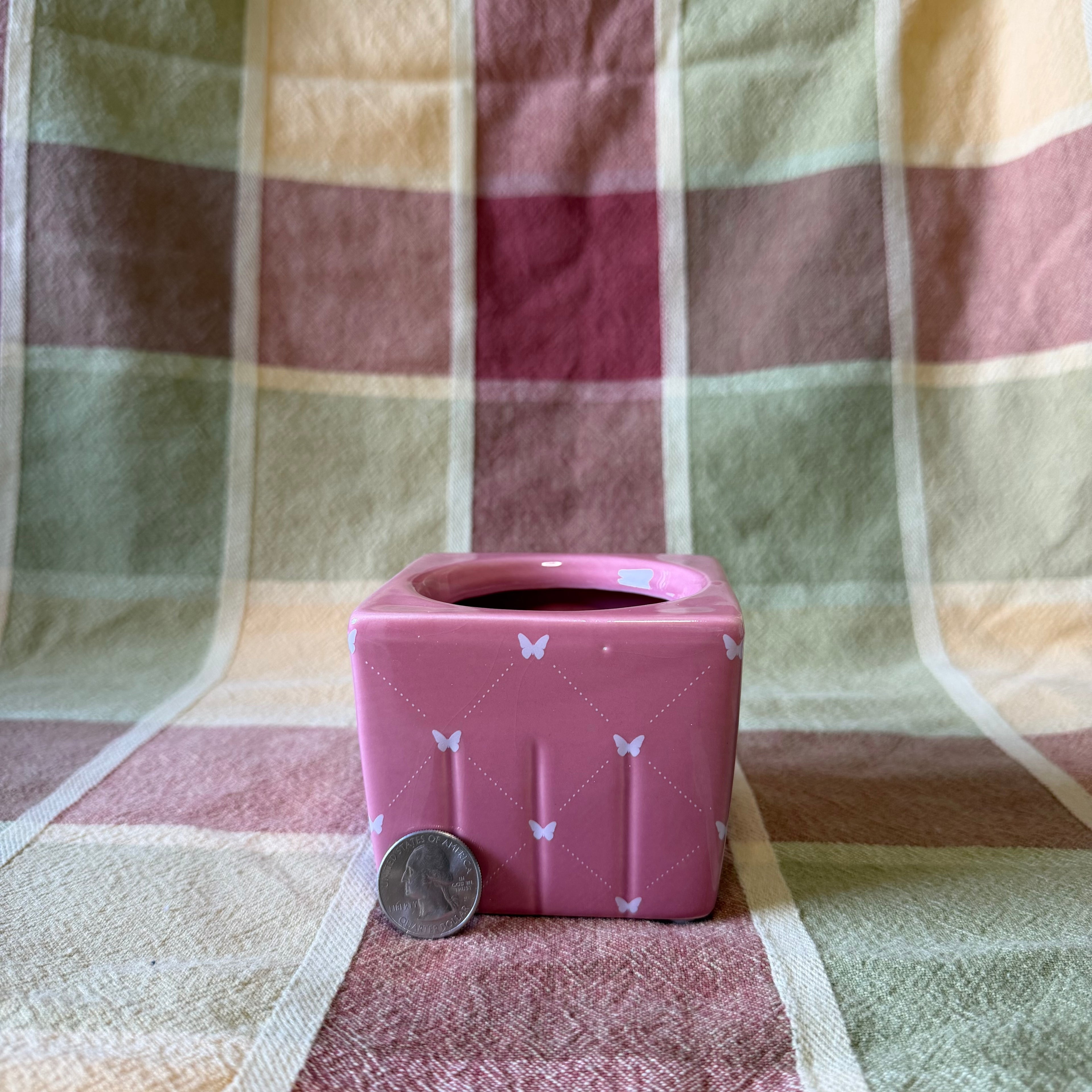 Square Butterfly Pot