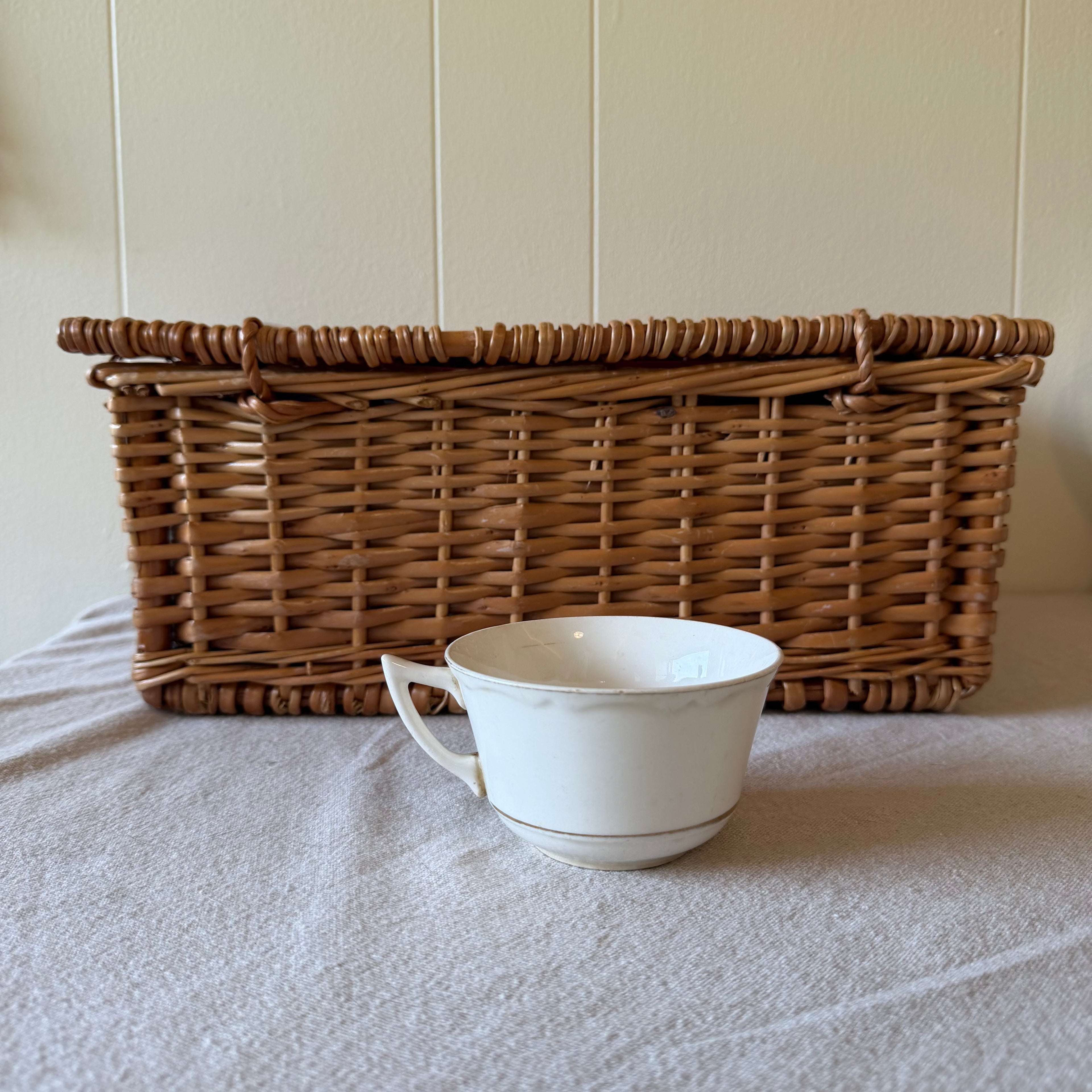Cute Teacup Pot