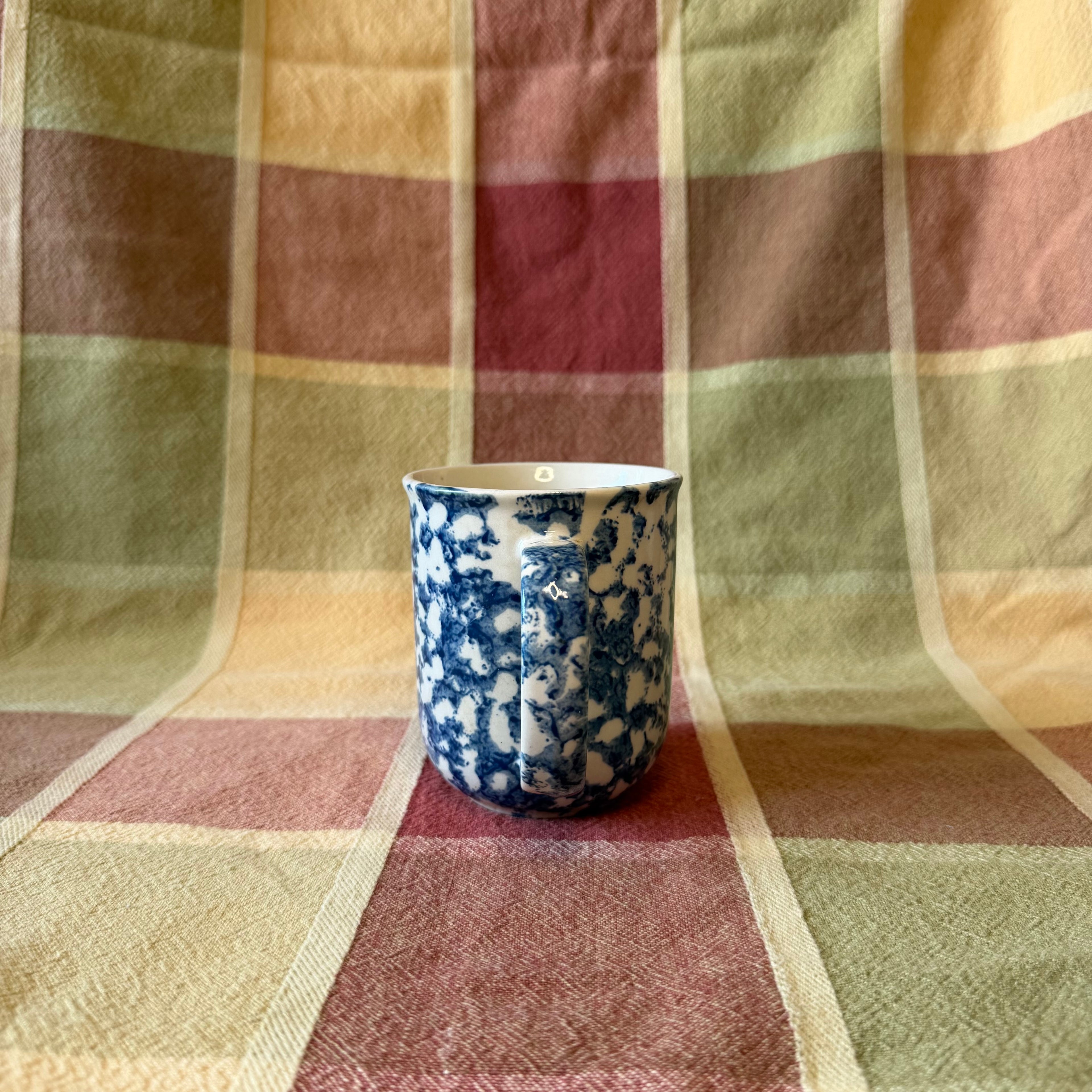 Blue Mug Pot