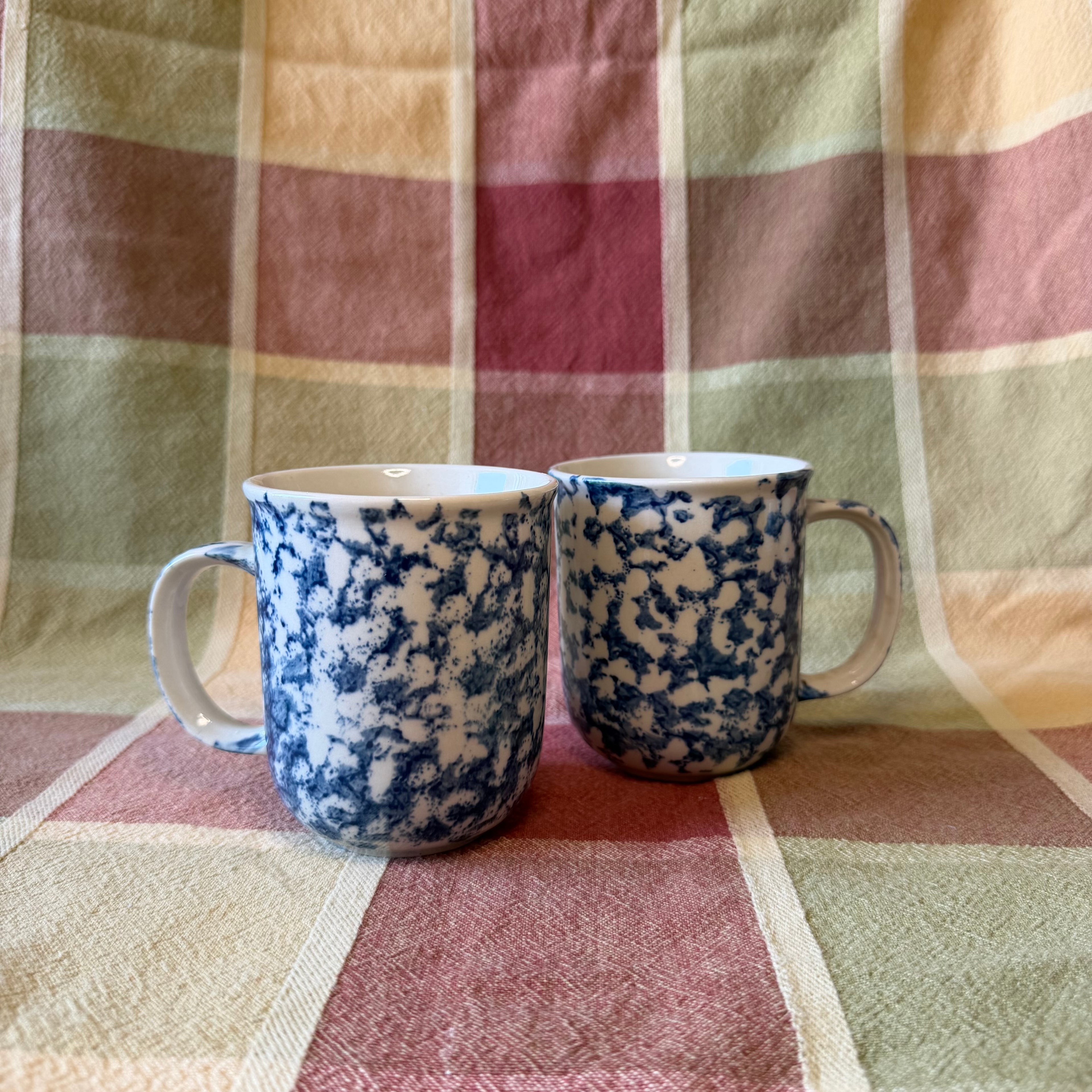 Blue Mug Pot