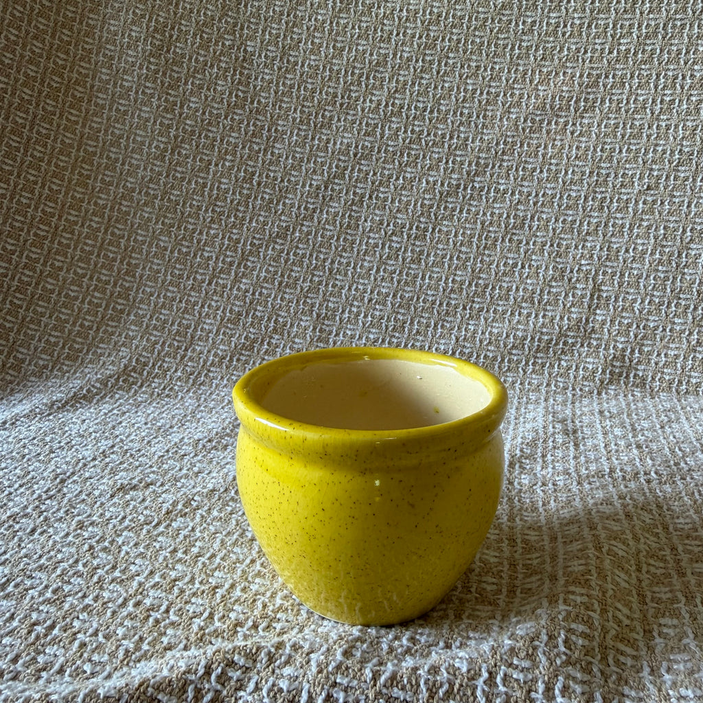 Yellow Honey Pot Pot