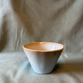 Blue Bowl Pot