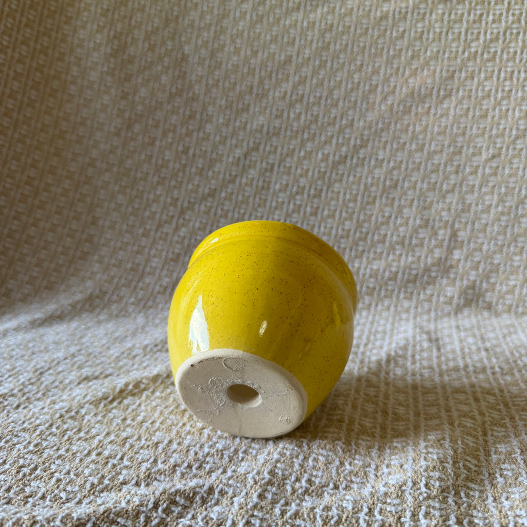 Yellow Honey Pot Pot