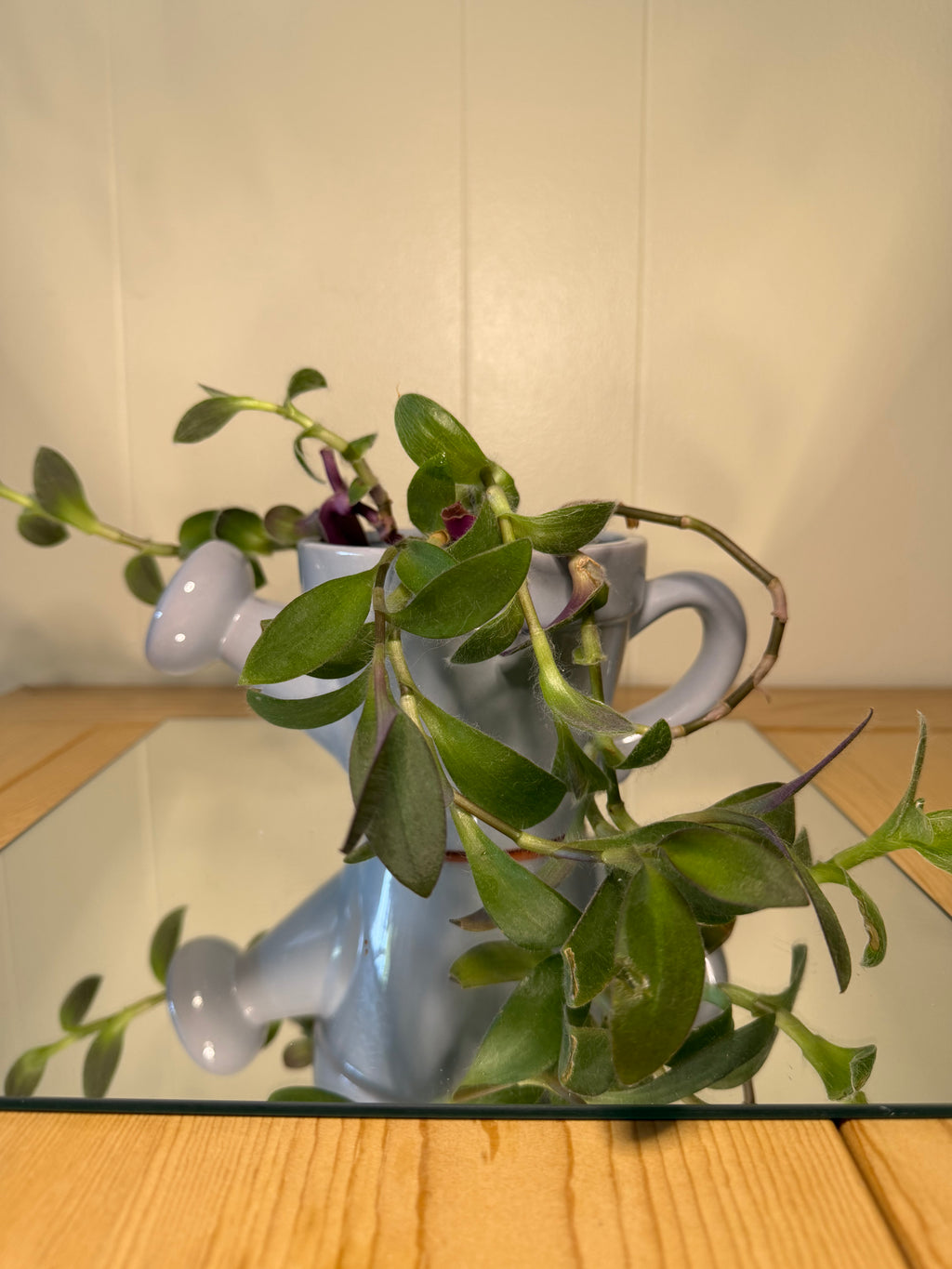 Blue Watering Can Pot