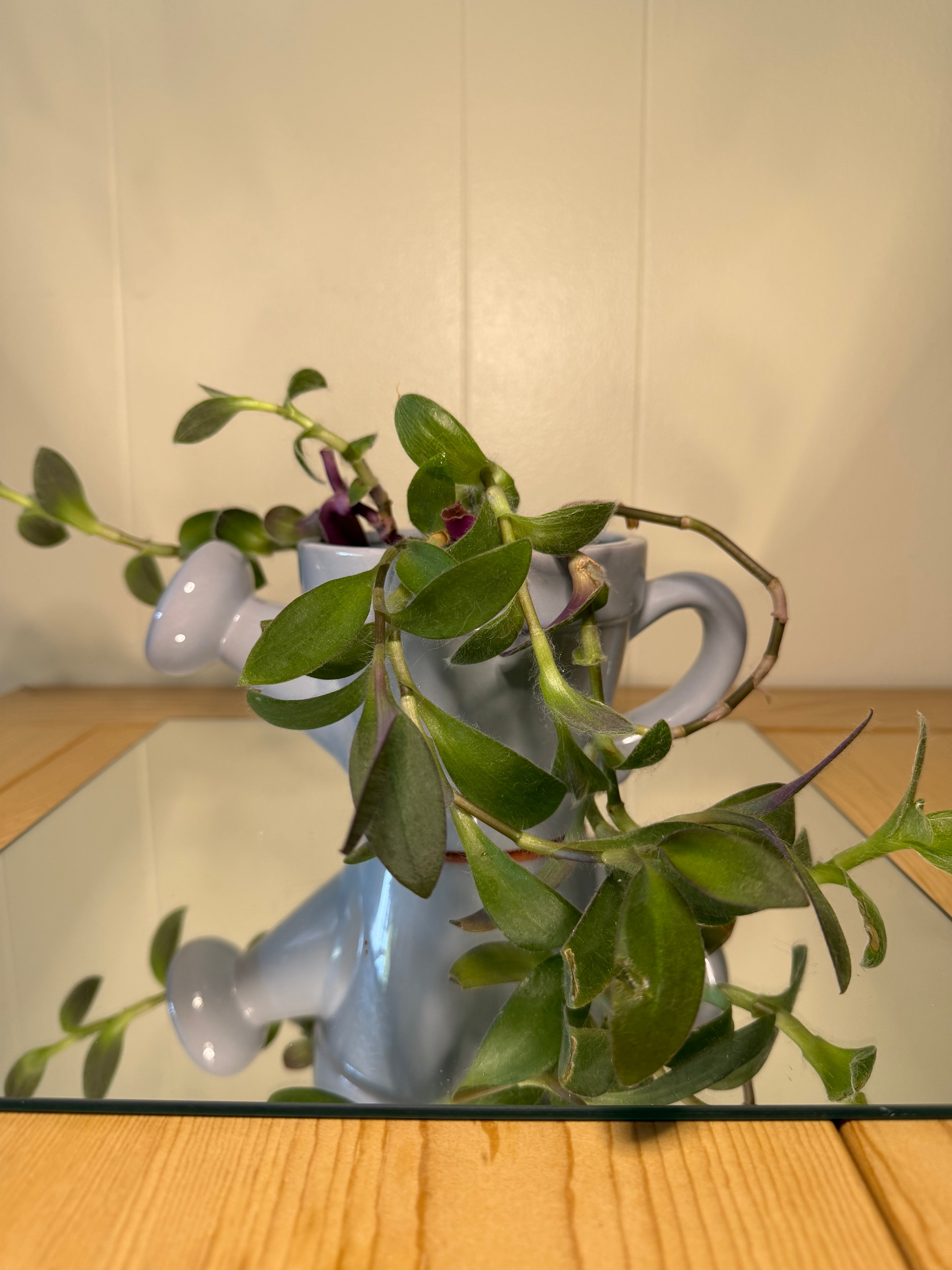 Blue Watering Can Pot