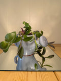 Blue Watering Can Pot