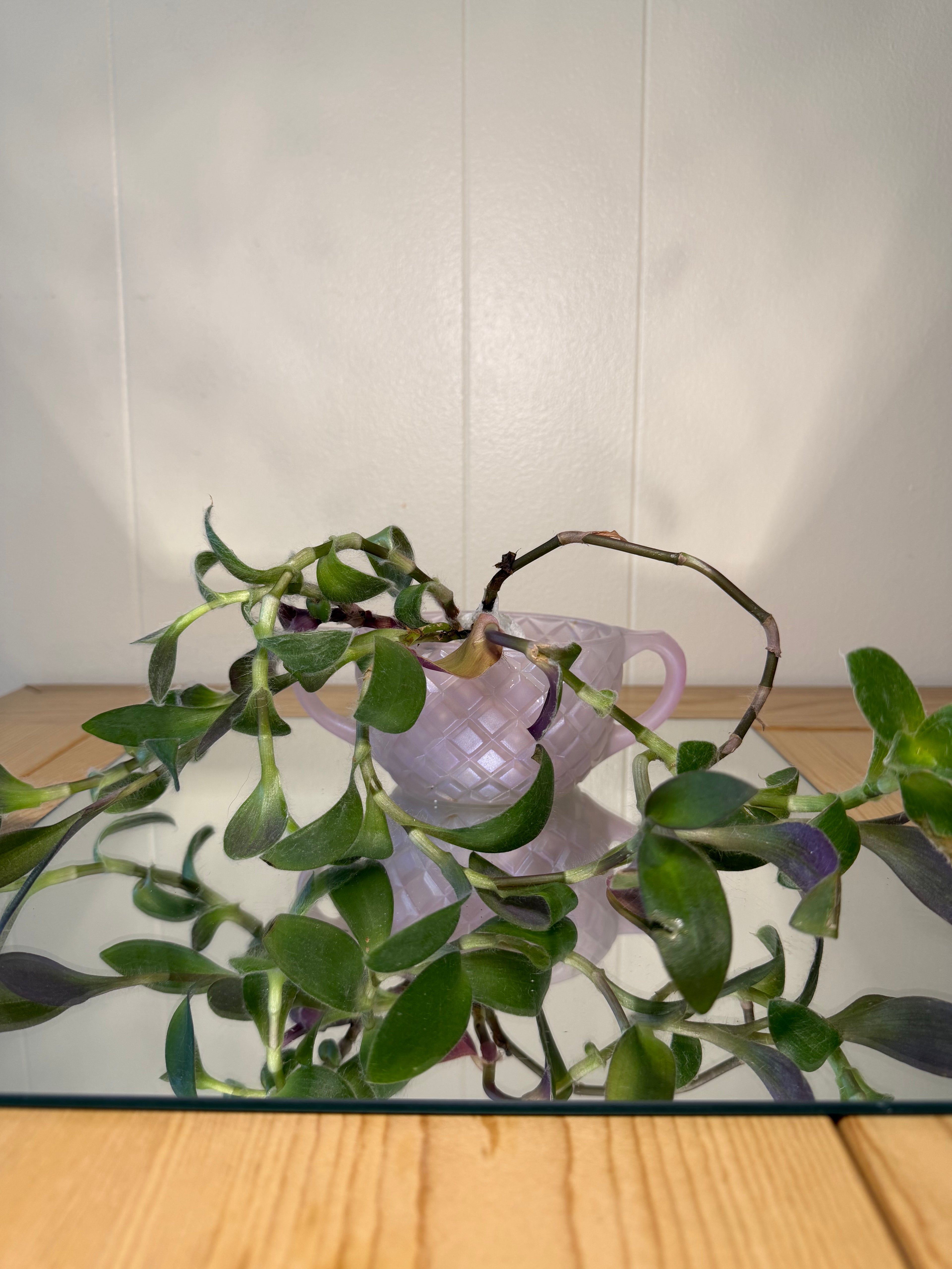 Frosted Pink Glass mini Pot