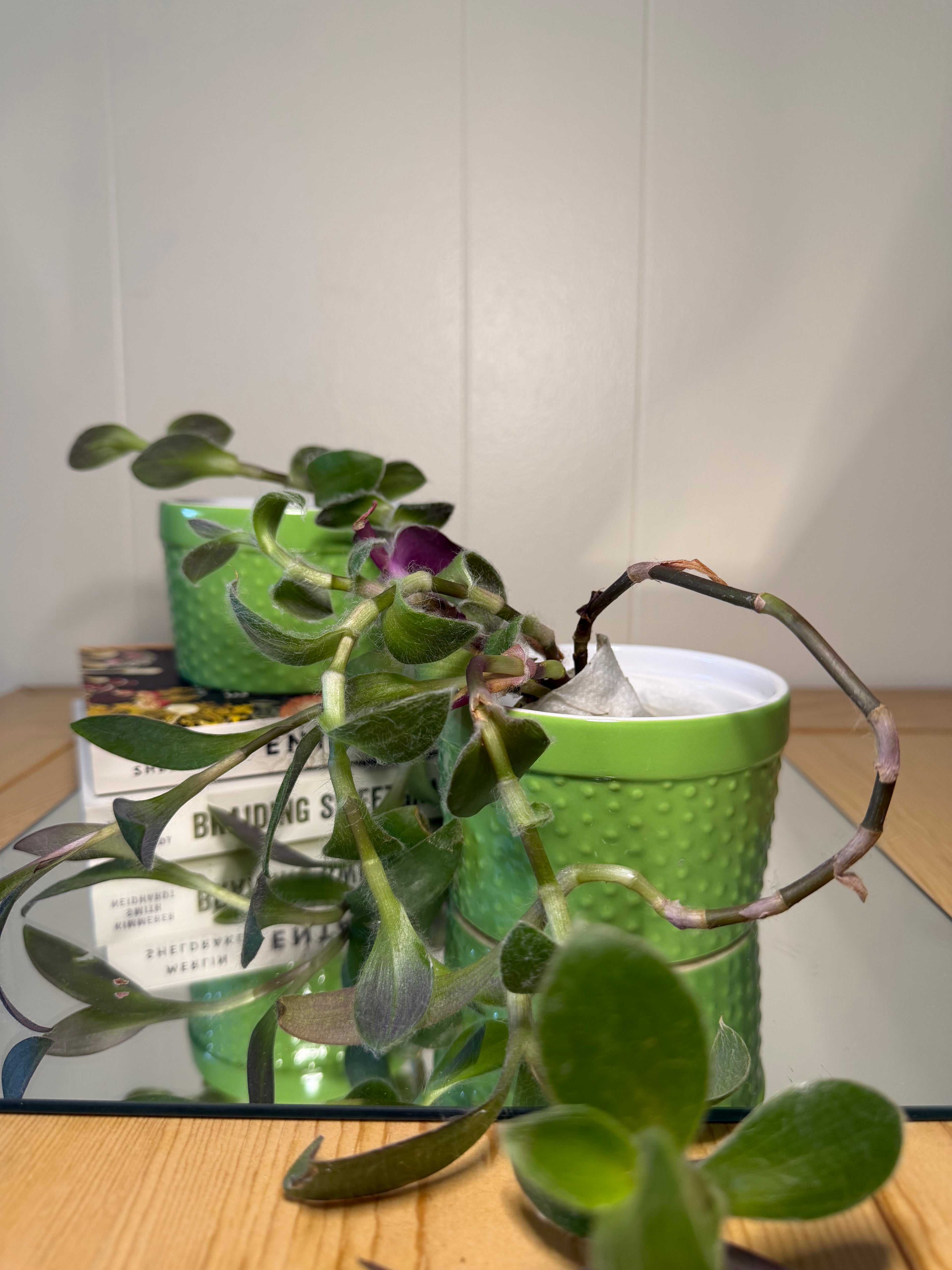 Small Green Crock